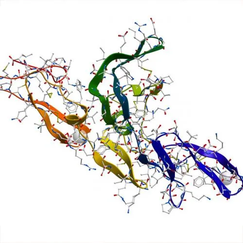 Lysyl Endopeptidase  Mass Spectrometry Grade