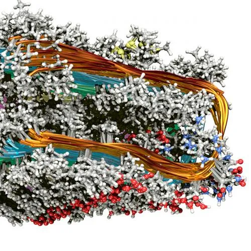 Human/Rat B Amyloid (42) ELISA Kit Wako