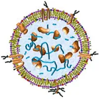 MagCapture(TM) Exosome Isolation Kit PS