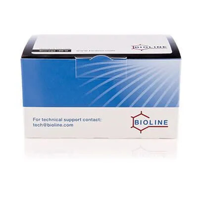 ACCUZYME DNA Polymerase