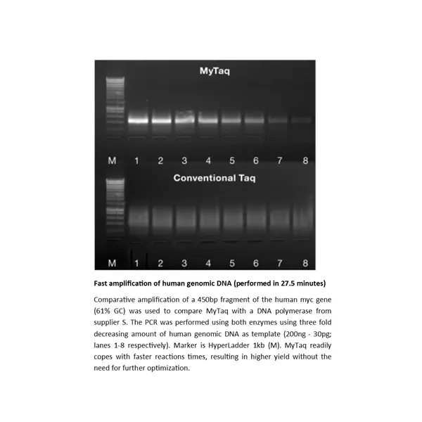 MyTaq Red DNA Polymerase