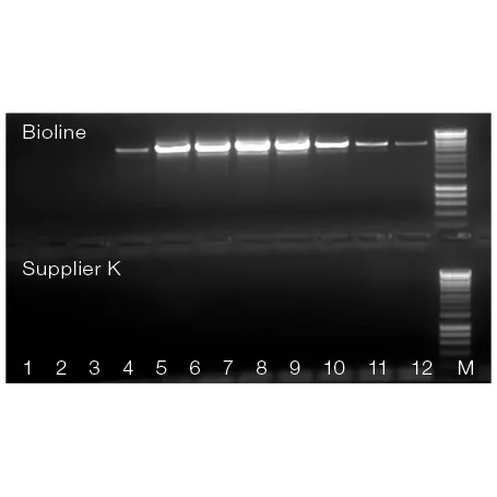 MyTaq Blood PCR Mix, 2x