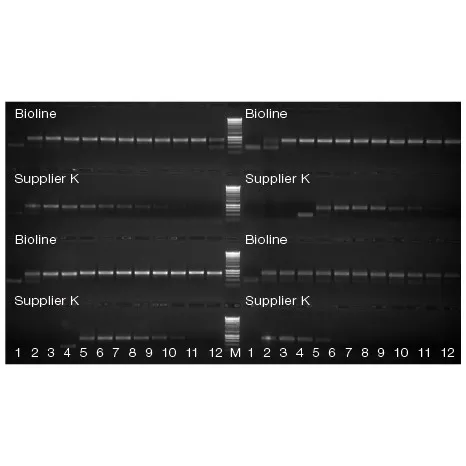 MyTaq Blood PCR Mix, 2x