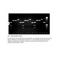 ISOLATE II Plasmid Mini Kit 