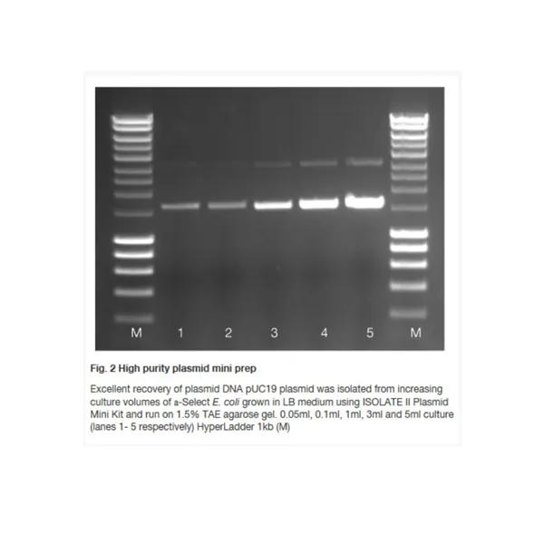 ISOLATE II Plasmid Mini Kit