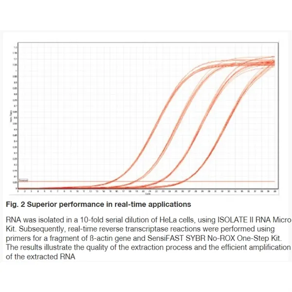 ISOLATE II RNA Micro Kit