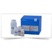 DNA whole blood kit L