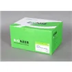 ExiPrep Plus Bacteria Genomic DNA Kit