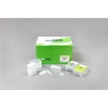 ExiPrep 48 Viral DNA/RNA Kit