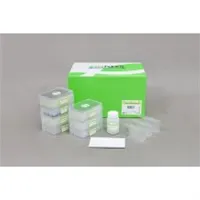 ExiPrep 96 Viral DNA/RNA Kit