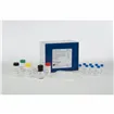 Mouse NGAL ELISA kit