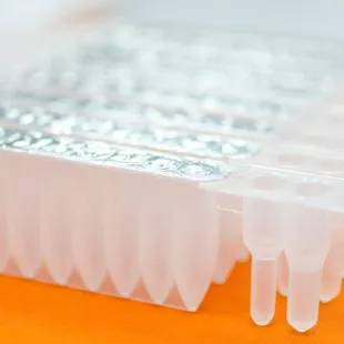 Plasma DNA Extraction Kit LV-1200 ul (96 Strips/Box)