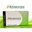 EpiQuik Nuclear Extraction Kit II (Nucleic Acid-Free)