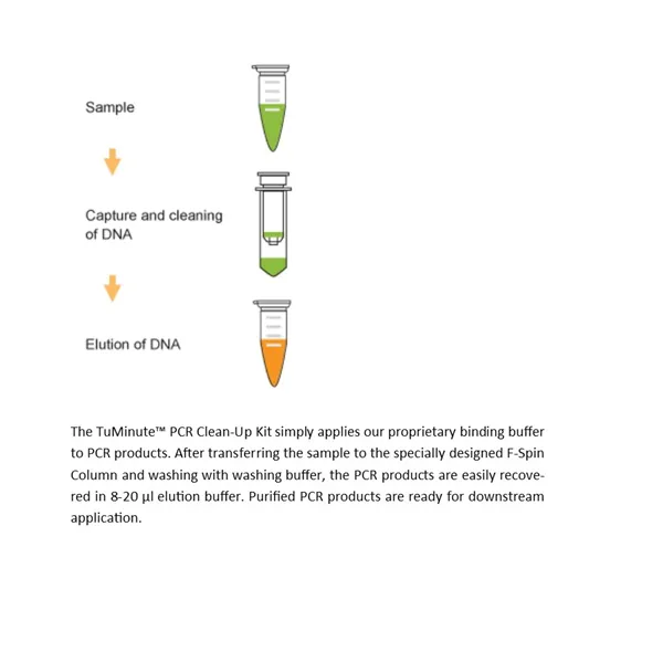 TuMinute PCR Clean-Up Kit 