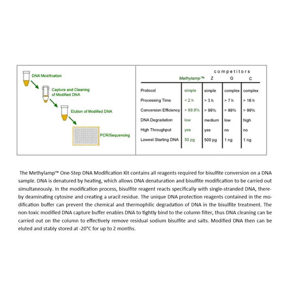 MethylampTM One-Step DNA Modification Kit