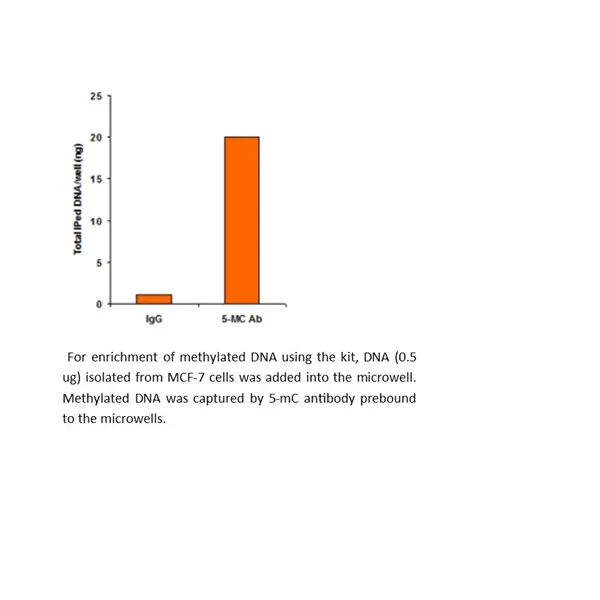 Methylamp Methylated DNA Capture (MeDIP) Kit