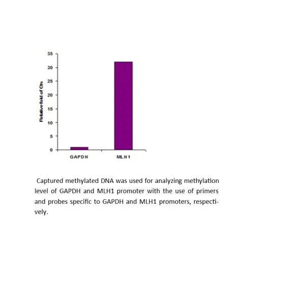 Methylamp Methylated DNA Capture (MeDIP) Kit