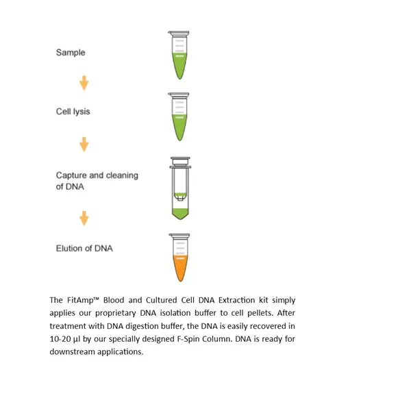 FitAmp Blood and Cultured Cell DNA Extraction Kit