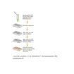 MethylFlash Hydroxymethylated DNA Quantification Kit (Fluorometeric) 