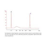 EpiNext High-Sensitivity DNA Library Preparation Kit (Illumina) (12 reactions) 