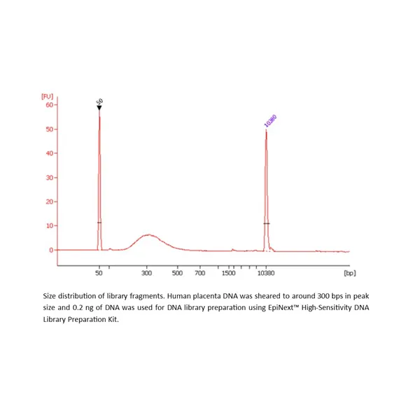 EpiNext High-Sensitivity DNA Library Preparation Kit (Illumina)