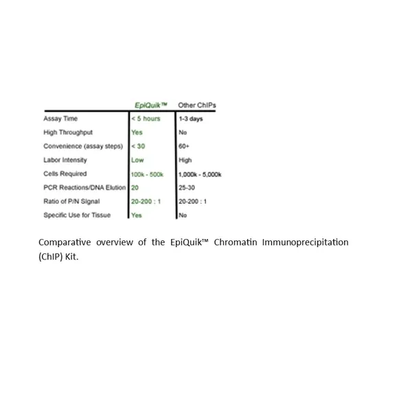 EpiQuikTM Chromatin Immunoprecipitation (ChIP) Kit