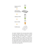 EpiQuik Methylated DNA Immunoprecipitation Kit