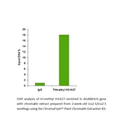 ChromaFlash Plant Chromatin Extraction Kit 