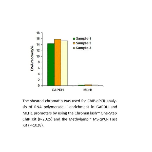 ChromaFlash Chromatin Isolation and Shearing Kit