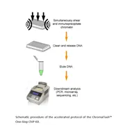 ChromaFlash One-Step ChIP Kit (48 reactions)