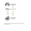 ChromaFlash one-Step Magnetic ChIP Kit