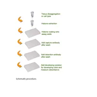 EpiQuik Global Histone H3-K4 Methylation Assay Kit