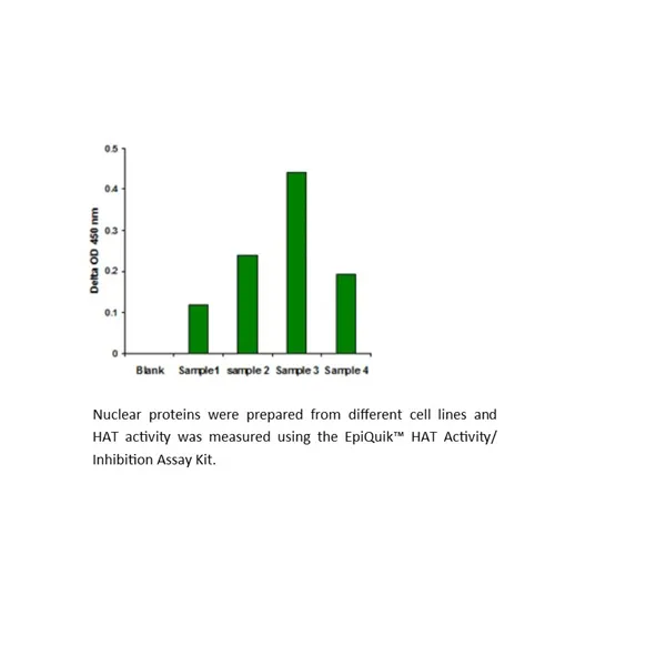 EpiQuik HAT Activity/Inhibition Assay Kit (Colorimetric)