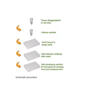 EpiQuik Total Histone H3 Acetylation Detection Fast Kit (Fluorometeric)