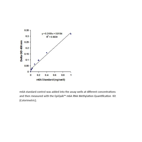 EpiQuik m6A RNA Methylation Quantification Kit (Colorimetric)