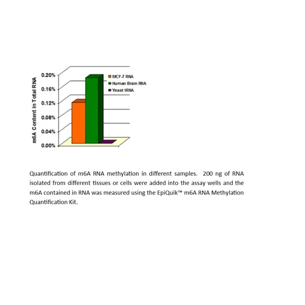 EpiQuik m6A RNA Methylation Quantification Kit (Colorimetric)